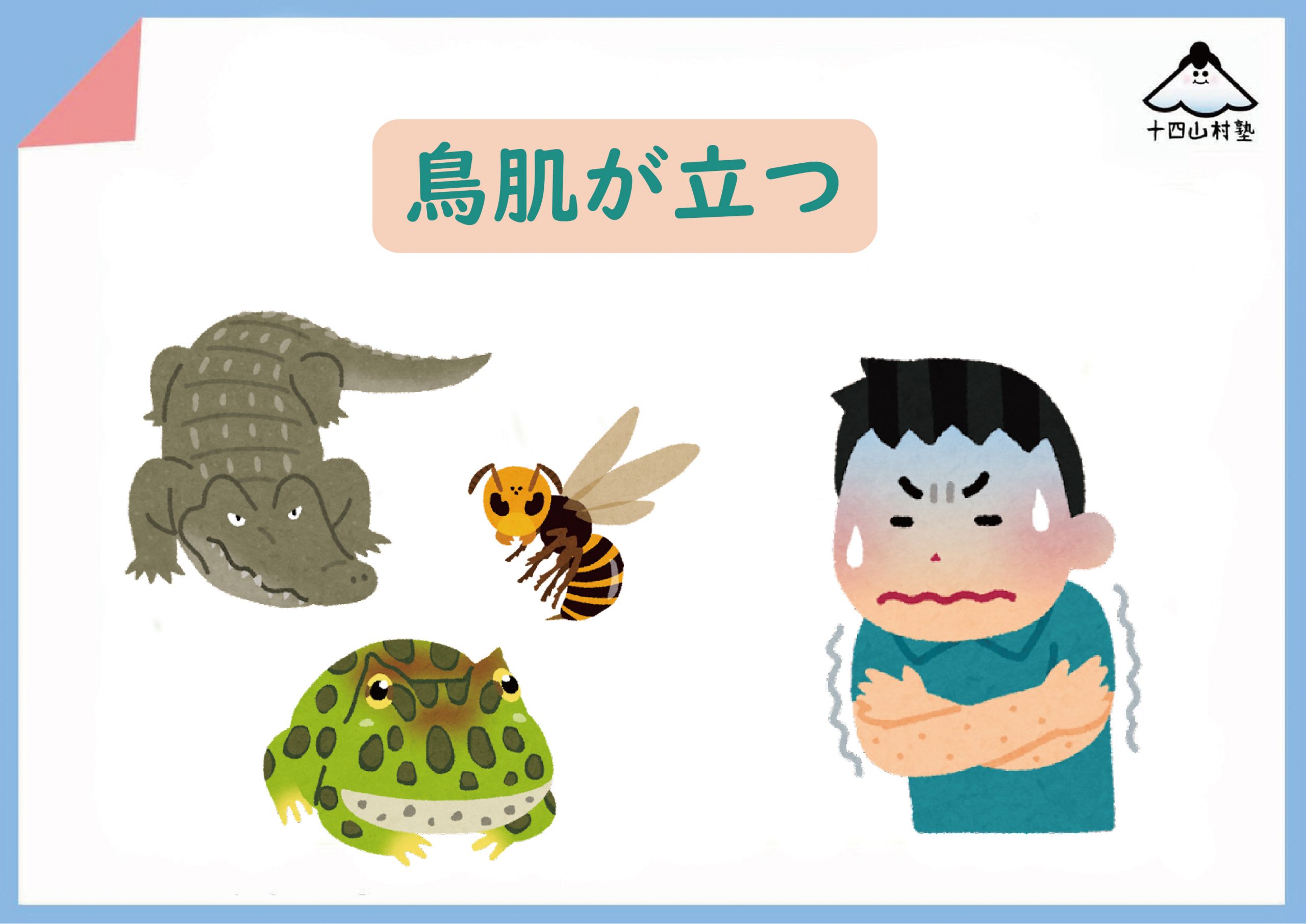 鳥肌が立つ理由 – 鳥肌が立った 言い換え – VISHUJI